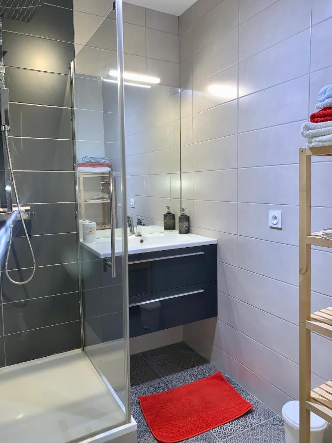 Appartement Cosy 里昂 外观 照片